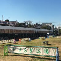 川崎大師　節分会