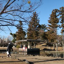 一部には庭園も