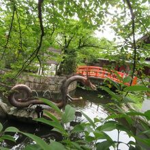 龍のいる池です