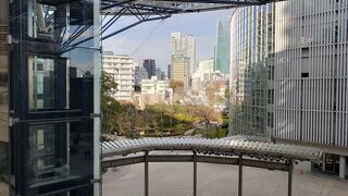 テレビ朝日のお天気ニュースのロケ地としてよく見かけることで知っている人は多いでしょう。