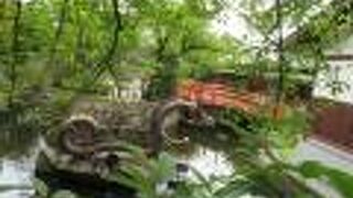 池の風景が素敵です