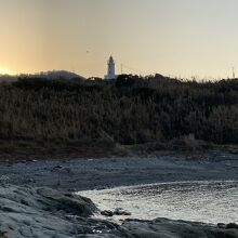 海岸から灯台を望む