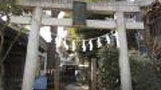 白狐にまつわる伝承