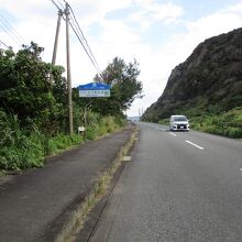 ソテツ・バショウ群生地