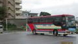 路線バスで観光できます