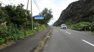 ソテツ・バショウ群生地