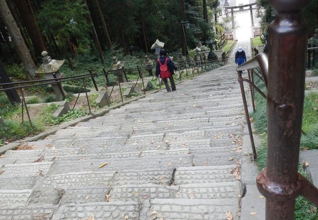 鹽竈神社帆手祭 クチコミ アクセス 営業時間 多賀城 塩釜 利府 フォートラベル 鹽竈神社帆手祭 クチコミ アクセス 営業時間 多賀城 塩釜 利府 フォートラベル
