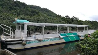 日本一のマングローブクルーズと"サキシマスオウノキ"見学へ