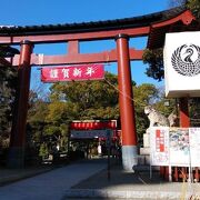 規模が大きく、見どころのある神社でした