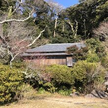 庭の前の遊歩道から