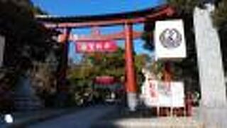 規模が大きく、見どころのある神社でした