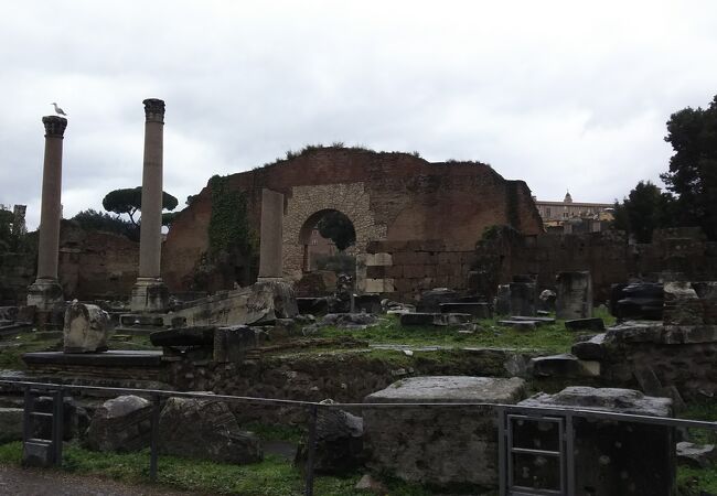 アントニヌス・ピウスとファウスティーナの神殿の隣