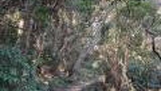 広大な敷地で景観が素晴らしいです