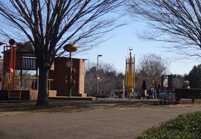 山々が眺望できる広い公園