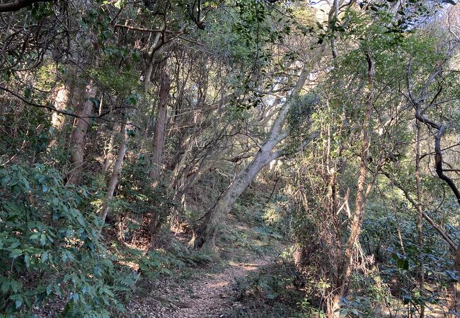 広大な敷地で景観が素晴らしいです