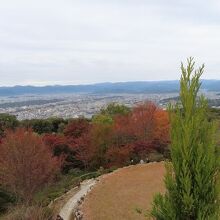 将軍塚と京都盆地