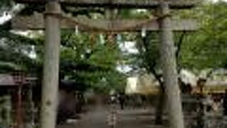 大きな鳥居があって神聖な雰囲気