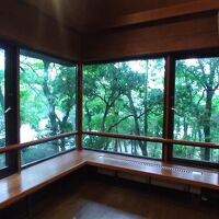 リビングの窓は大きく、緑がいっぱいです。