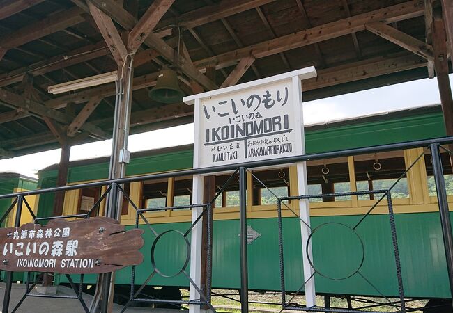 SL雨宮21号の牽引する客車に乗車