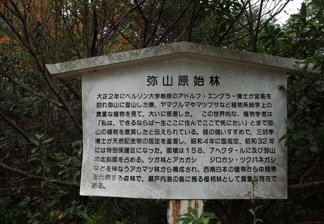 弥山原始林 クチコミ アクセス 営業時間 宮島 厳島神社 フォートラベル 弥山原始林 クチコミ アクセス 営業時間 宮島 厳島神社 フォートラベル