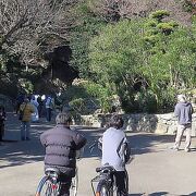 訪問日が最悪だった