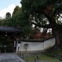 楠木に囲まれた長屋門