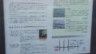 ザビエルっぽさはないです