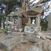 富士山を見に三浦富士コースを歩きました