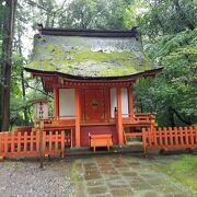 屋根の苔が目立つ