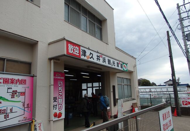 津久井浜観光農園 クチコミ アクセス 営業時間 横須賀 フォートラベル 津久井浜観光農園 クチコミ アクセス 営業時間 横須賀 フォートラベル