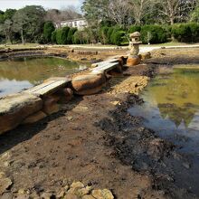 しょうぶ苑の水連池。水が抜いてありました。