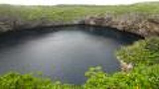 神秘的な色をしています