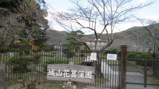 ５～６月が見頃ですよ