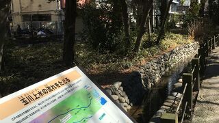 玉川上水の流れをたどる