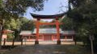 堂々としたたたずまいです