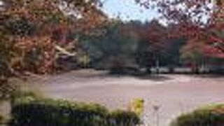 広々としています