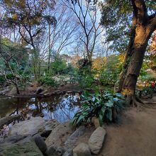 どこか遠くに来た気分♪