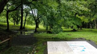 神仏習合の発祥地