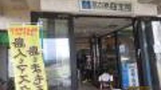 貝の展示数は凄いです