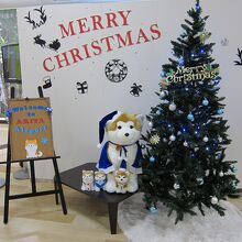 クリスマスにもザ・アキタ！
