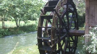 水がとても綺麗で澄んでいます。