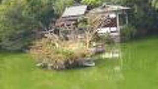 池の中に島にありました