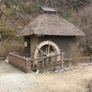 山吹の花だけでなく太田道灌ゆかりの公園