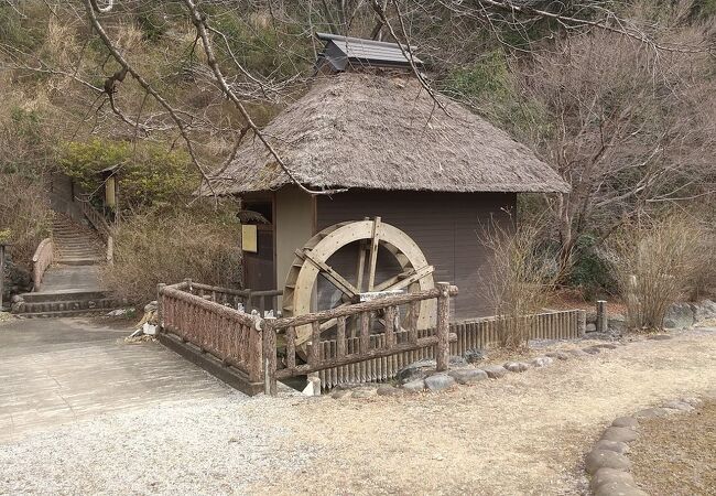 山吹の花だけでなく太田道灌ゆかりの公園