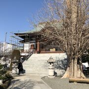 鎌倉安養院の末寺