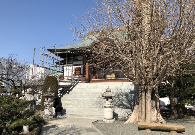 鎌倉安養院の末寺