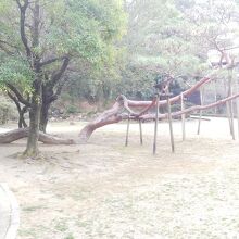 公園の様子
