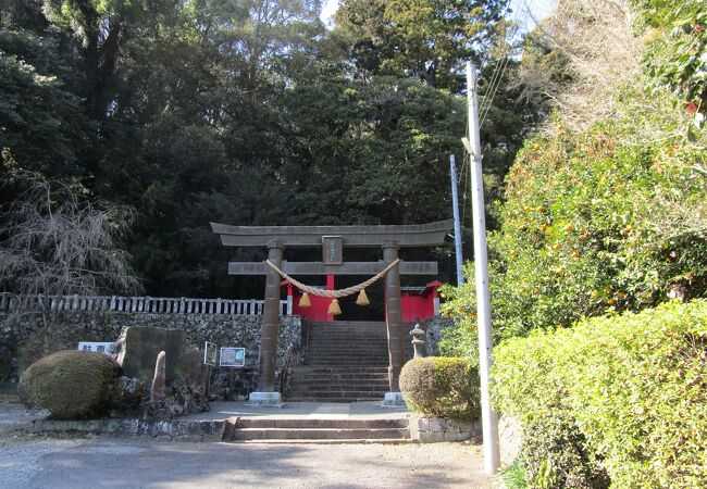 住宅街の奥、森の中にある立派な神社