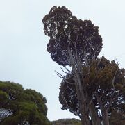 水軍や横綱にゆかりがあるお寺