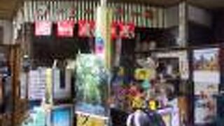 朝早くから営業している伊勢うどん